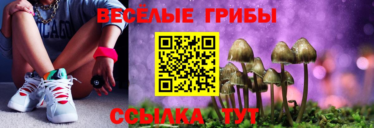 Галлюциногенные грибы мицелий  Вход с VPN  цены   Южно-Сахалинск  Галлюциногенные грибы ЛСД 